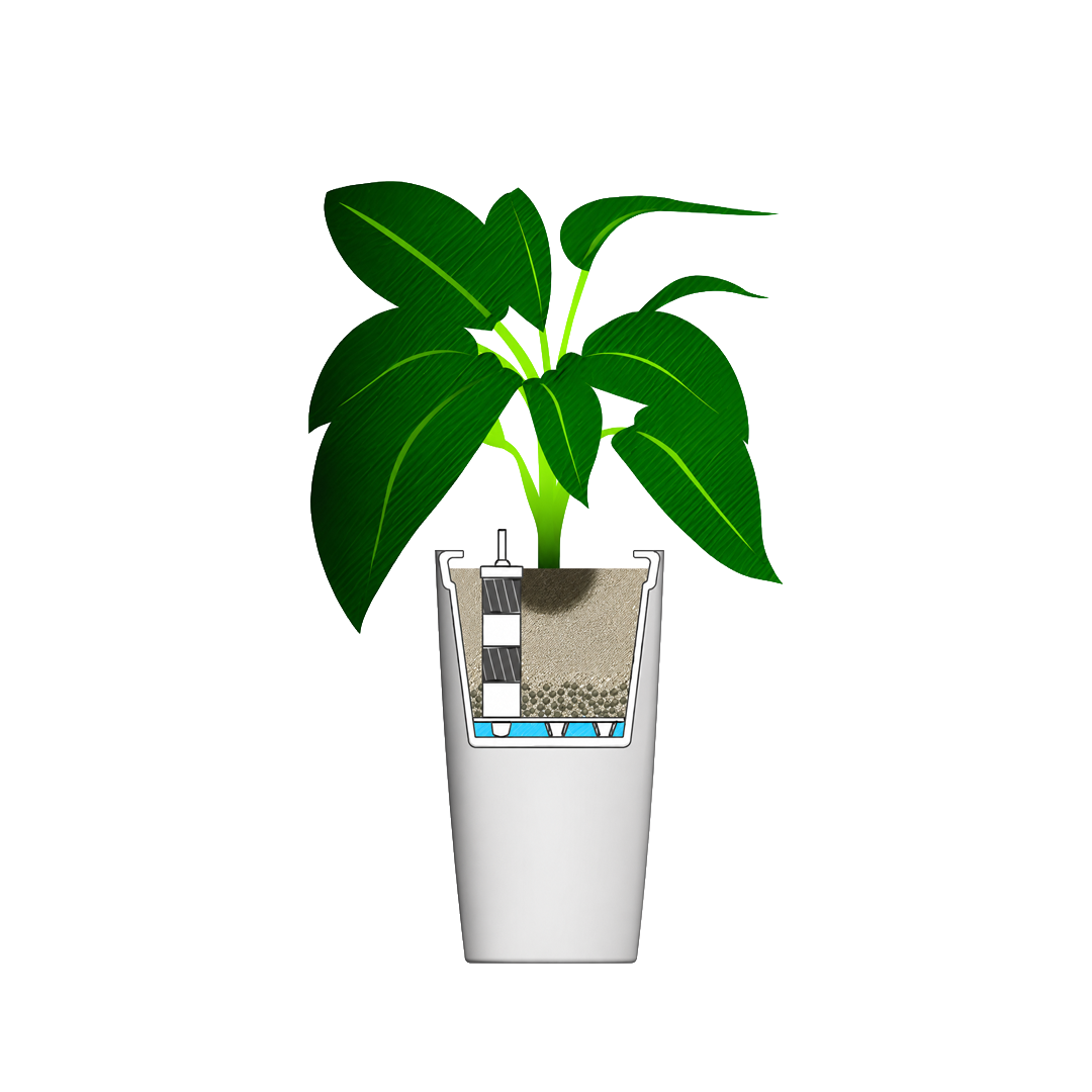Musa Watermeter