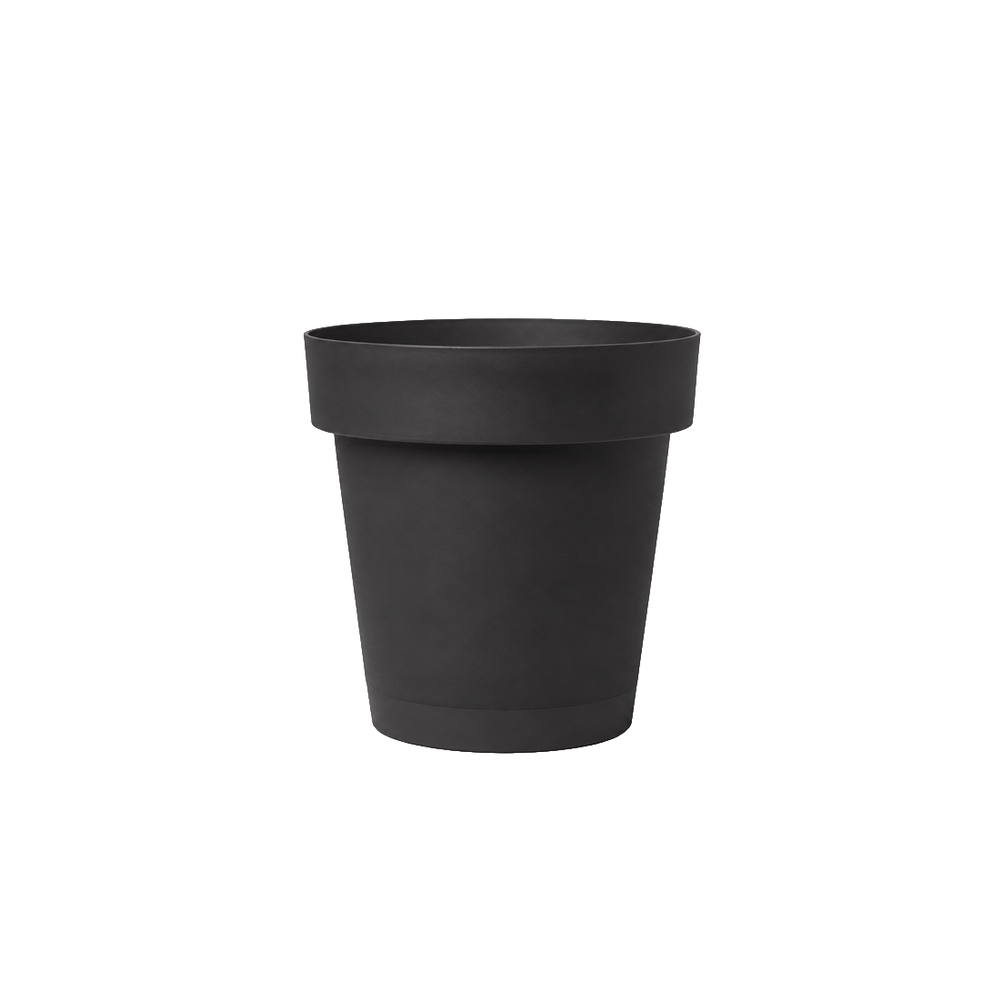 rSmart_Amandel.png