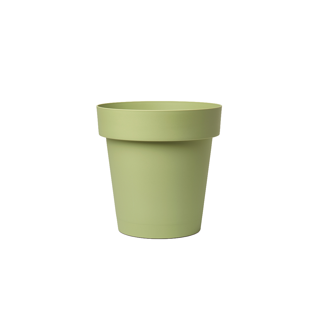 rSmart_Amandel.png
