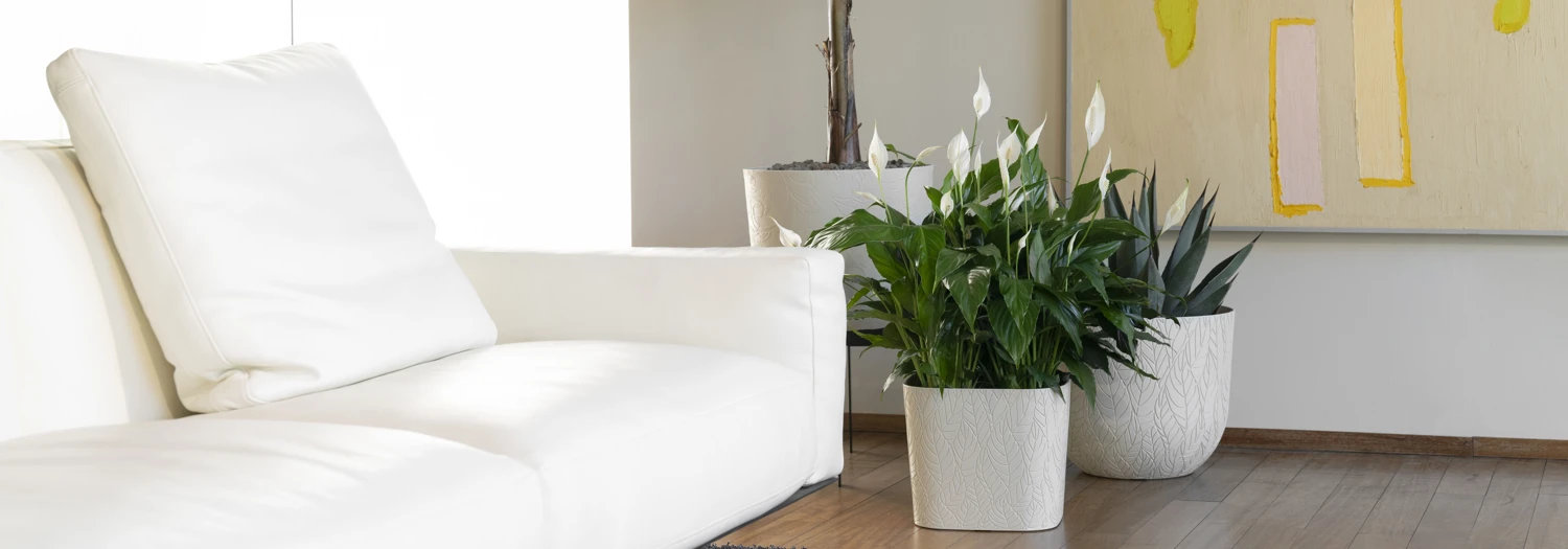bloempotten-elezza-moodline-amandel-sfeefoto