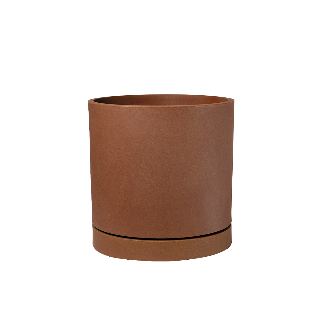 DVC_Taupe_MS.png