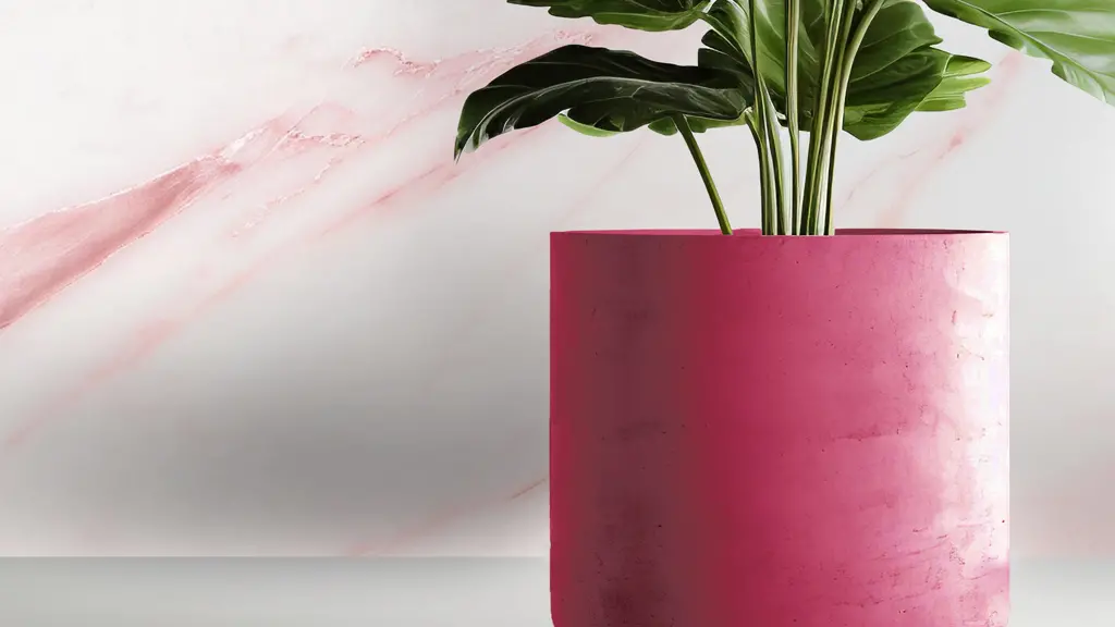 AdobeStock_649831217_roze.jpg