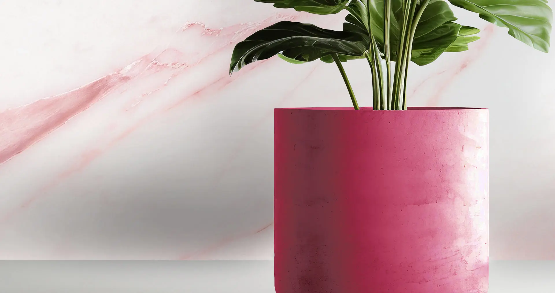 AdobeStock_649831217_roze.jpg