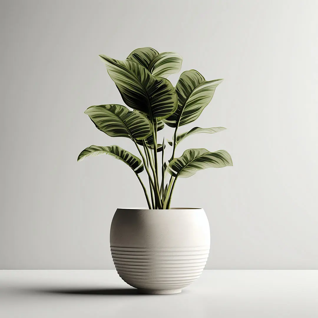 AdobeStock_649831014.jpg
