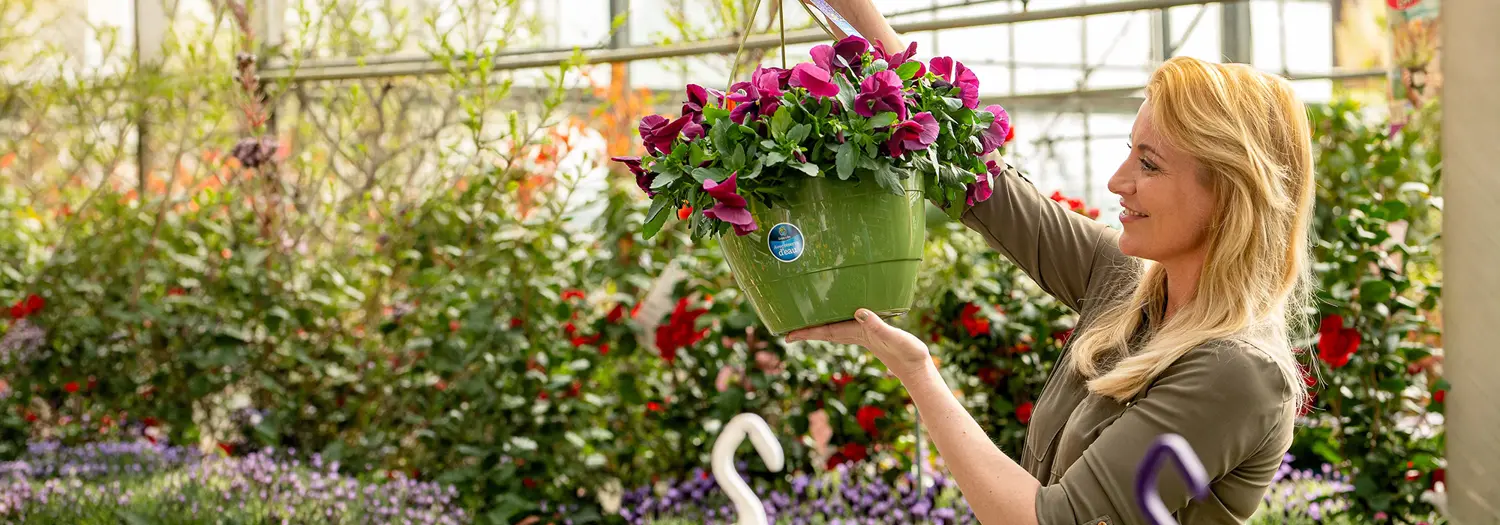 Elezza_Banner_Hanging_Baskets_01.jpg