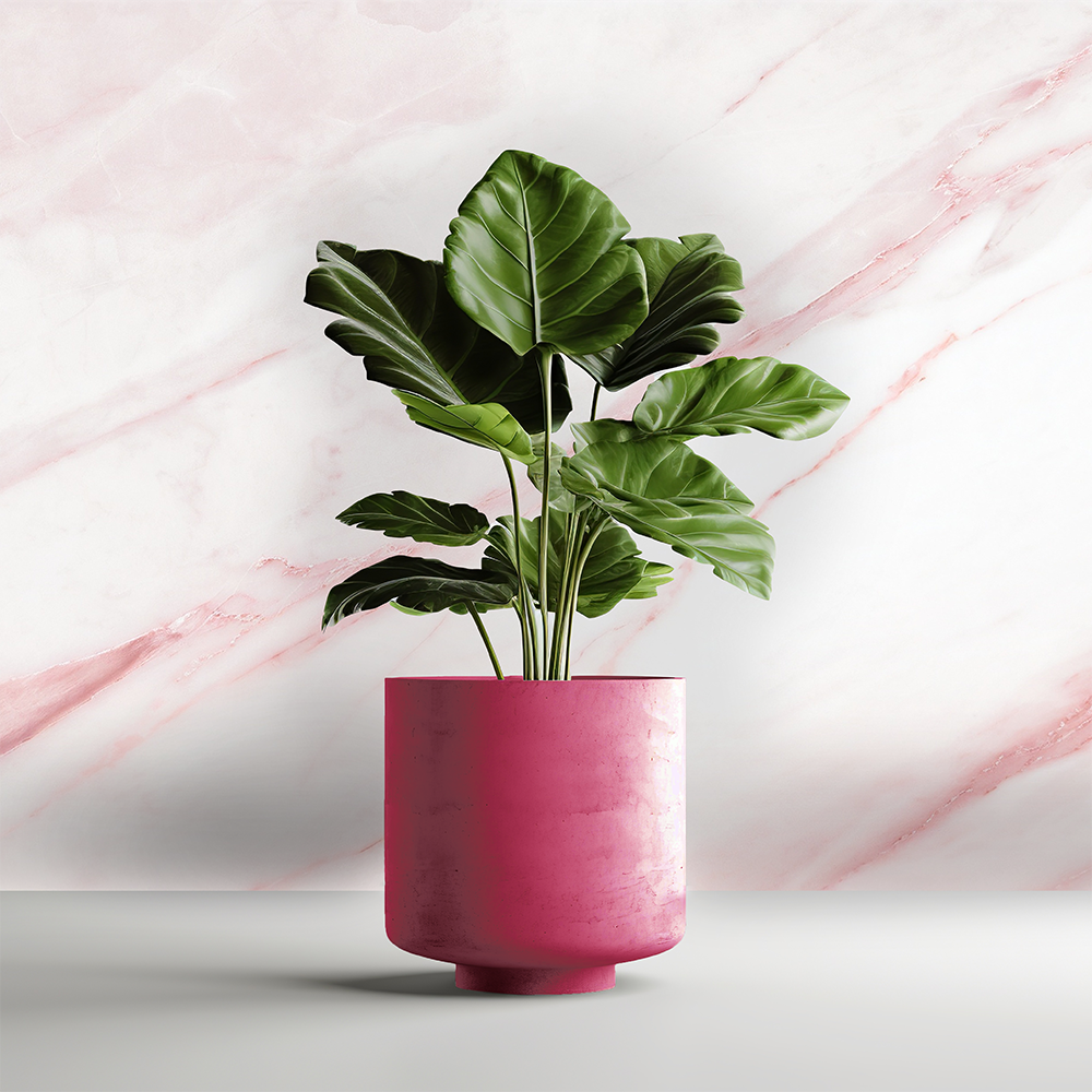 Bloempotten voor binnen