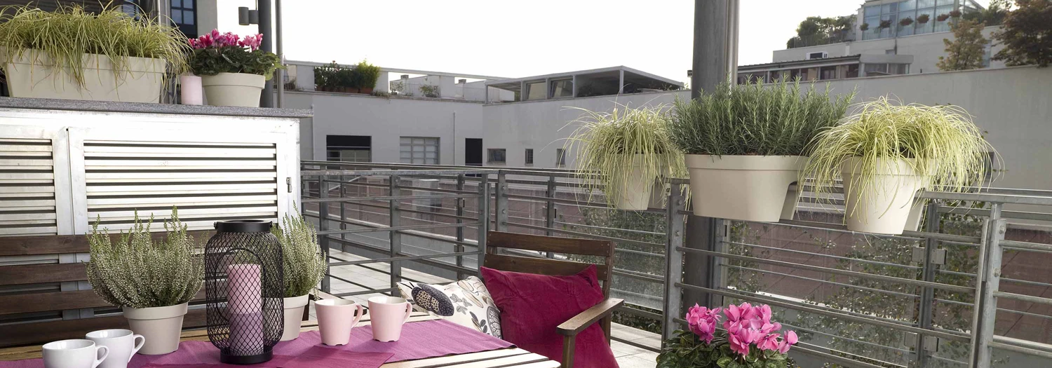 MYmood vaso_ ciotola_rail_cassetta.jpg